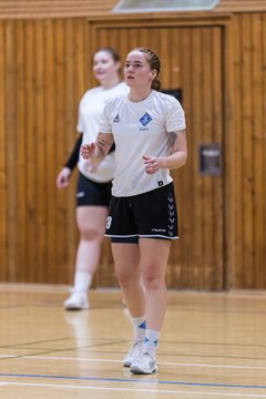 Bild 86 - F TSV Ellerau - HSG Tills Loewen 08 : Ergebnis: 16:18